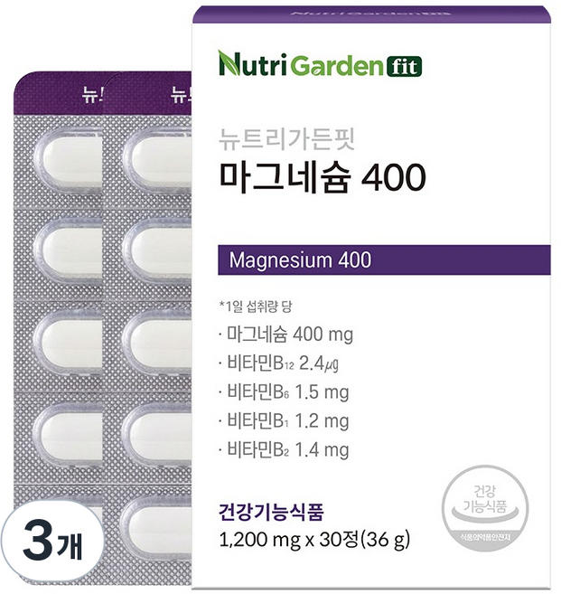 뉴트리가든 핏 마그네슘 400, 3개, 30정