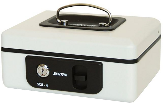 SentrySafe 手提安全金庫 鋼板烤漆居家外出收納防盜保安 手提式, 手提式 灰色 + 黑色