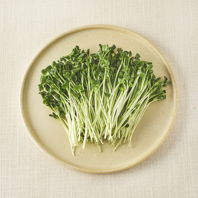 국내산 무농약 무순, 60g, 1개