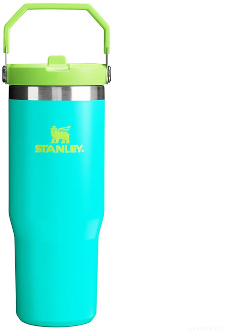 STANLEY 經典系列 IceFlow 手提吸管杯, 熱帶綠, 880ml, 1個