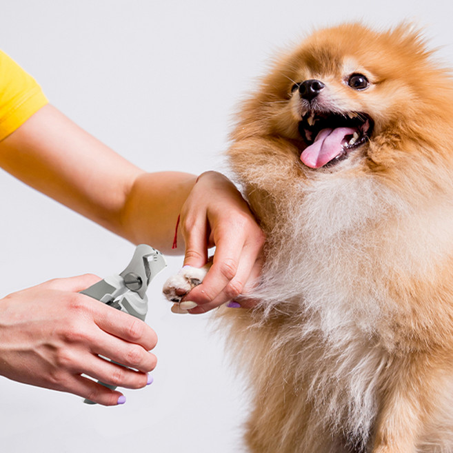 바비온 반려동물 안전 발톱깎이 85 x 140 mm, 화이트, 1개