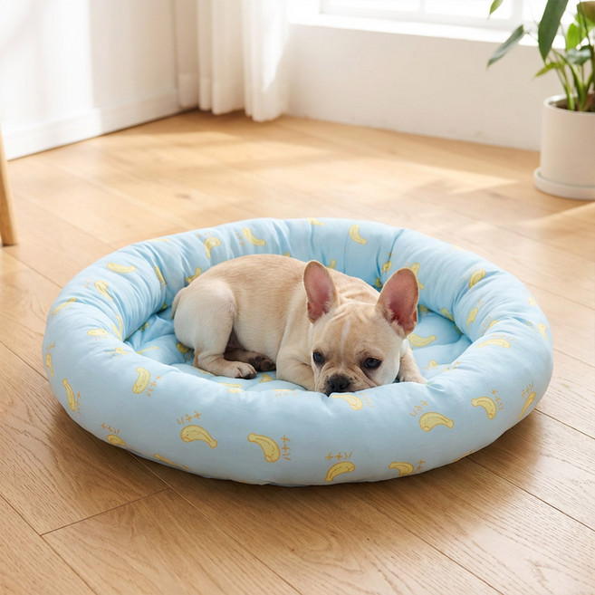 딩동펫 반려동물 썬베드 방석 원형, 바나나, 1개