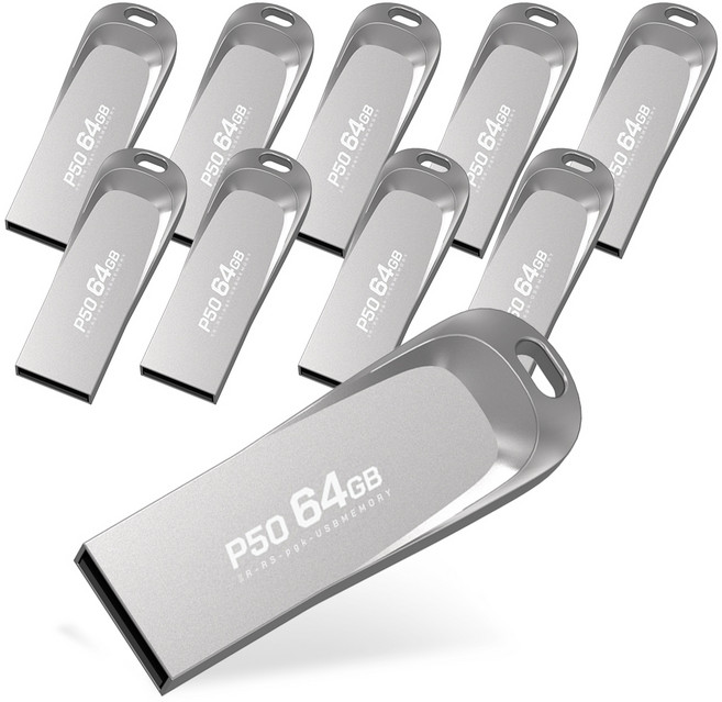 PLEIGO USB 메모리 P50, 64GB, 10개