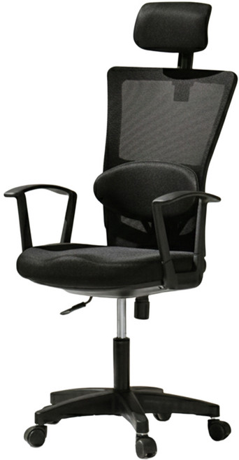 BareunLab 姿勢矯正學習辦公電腦椅 頭枕腰靠款 人體工學設計 透氣網布 可調節高度, 黑色