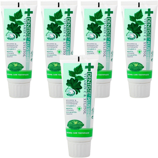 덴티스테 플러스 화이트 치약 튜브형, 60g, 5개