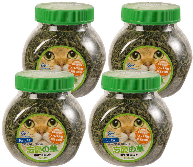 Canary 正午嫩採 貓的薄荷草 C-S420, 貓薄荷, 220ml, 4罐