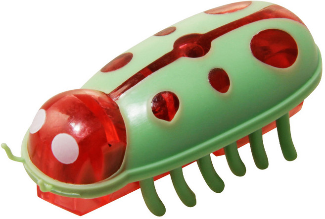 Truly House 寵物自動轉向發光電動玩具蟲 貓玩具/狗玩具/耐咬玩具, 1個, 單一商品, 紅綠瓢蟲