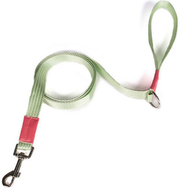 딩동펫 반려동물 마카롱 리드줄, 민트, 1개
