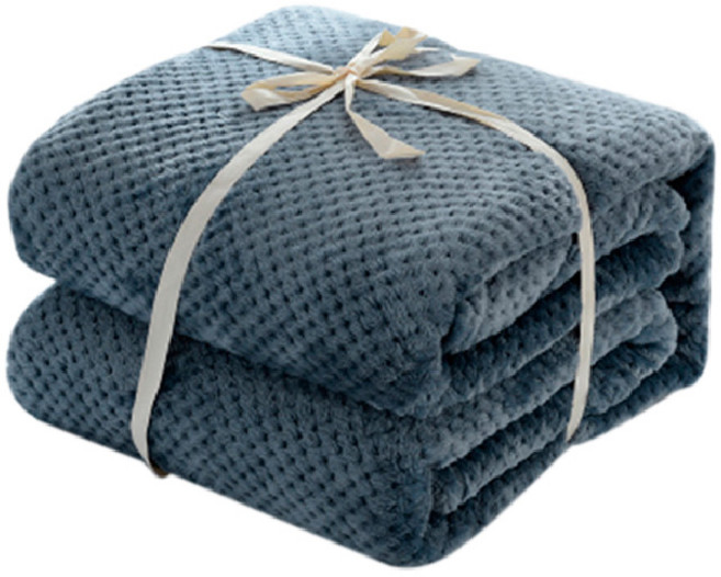 펫츠랜드 포그니 강아지이불, 블루, 1개