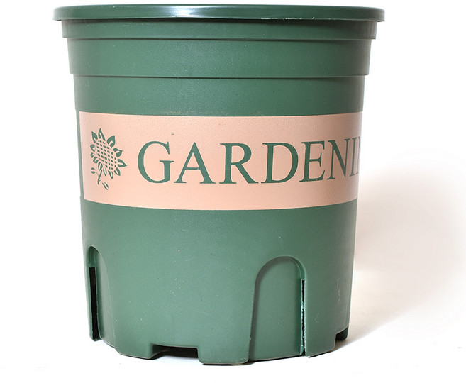 플랜테리어 가드닝 화분, 그린, 1개