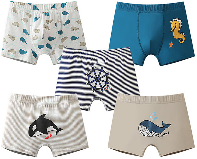 드림블루 남아용 학생 팬티 5종 세트