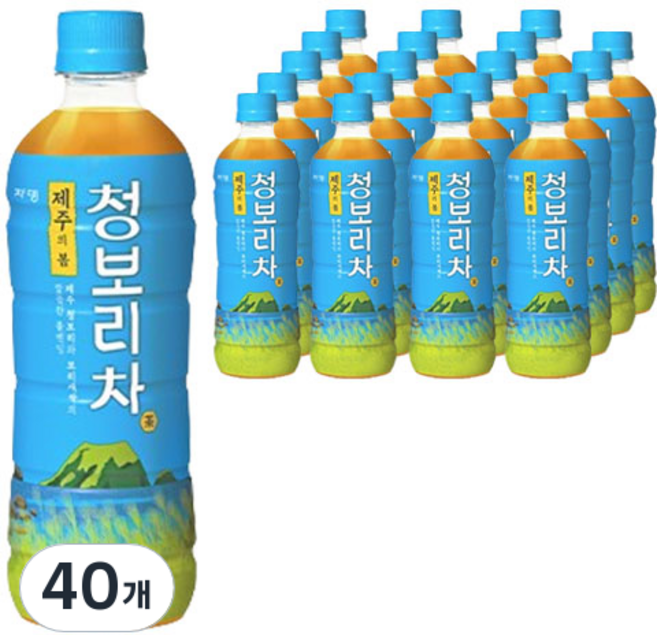 쟈뎅 제주의 봄 청보리차, 500ml, 40개