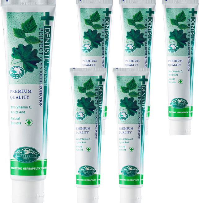 덴티스테 플러스 화이트 치약 튜브형, 200g, 6개