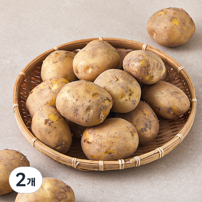 강원도 햇 감자, 3kg, 2개