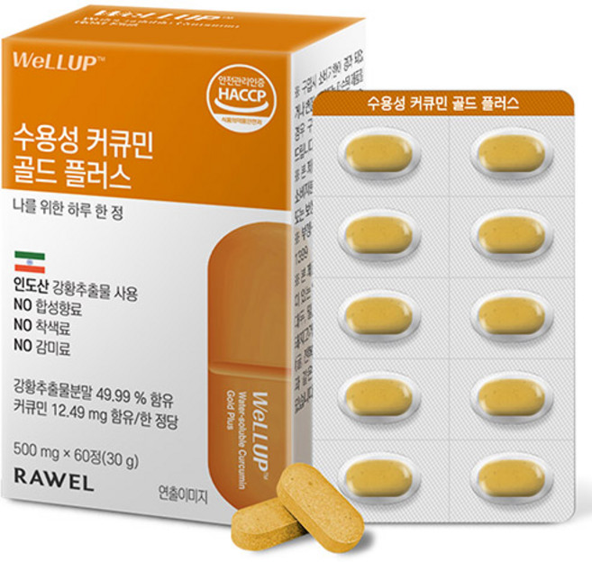 로엘 웰업 수용성 커큐민 골드 플러스 60p, 30g, 1개