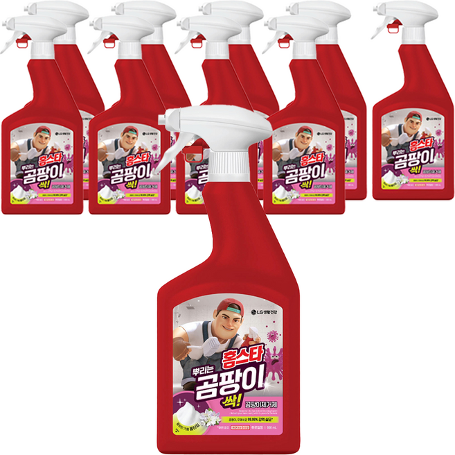 홈스타 맥스프레쉬 뿌리는 곰팡이 싹 세정제, 900ml, 10개