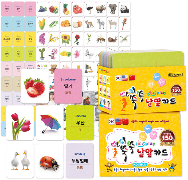 코시나 아이 쑥쑥 낱말카드 150p, 혼합색상, 1개