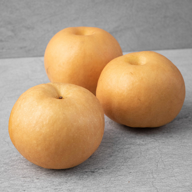 곰곰 천안 당도선별 신고 배, 1.8kg(대과), 1개