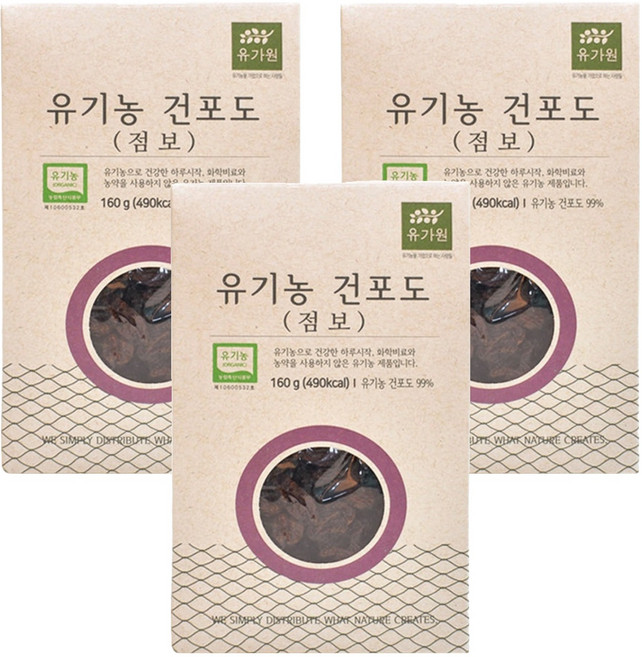 유가원 유기농 건포도 점보, 160g, 3개