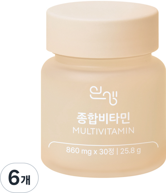인생 종합비타민 1개월팩 25.8g, 30정, 6개