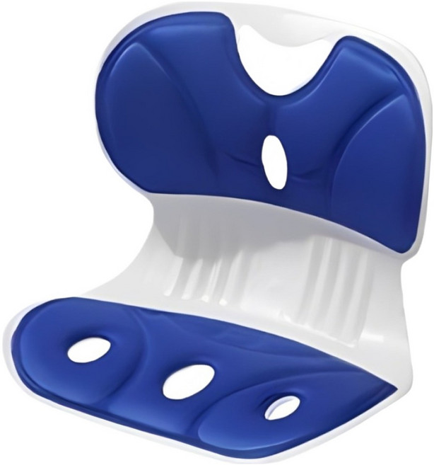 矯正坐墊 大號 850g, 顏色隨機