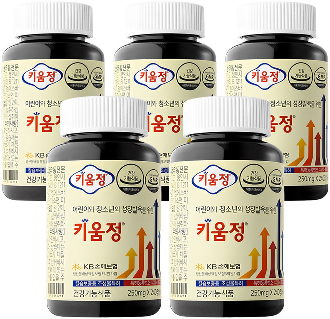 키움정, 240정, 5개