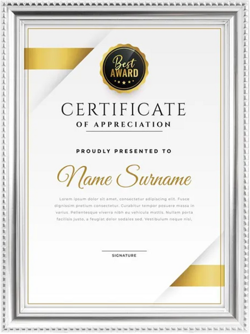 TRENY 金賞獎狀證書相框 精緻美觀設計 可直立/橫躺/壁掛展示, 銀色, 1個