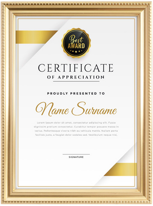 TRENY 金賞獎狀證書相框 美觀精緻 提升空間質感 可直立/橫躺/壁掛 節省空間, 金色, 1個