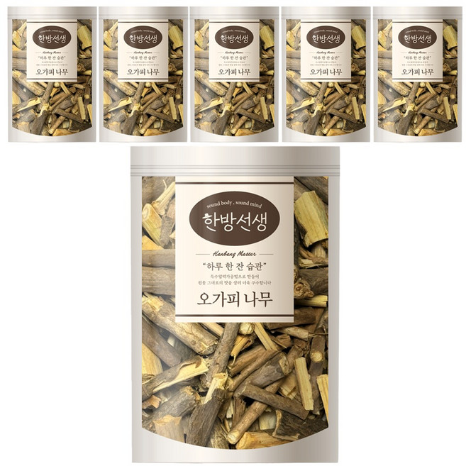 한방선생 오가피 나무, 600g, 6개