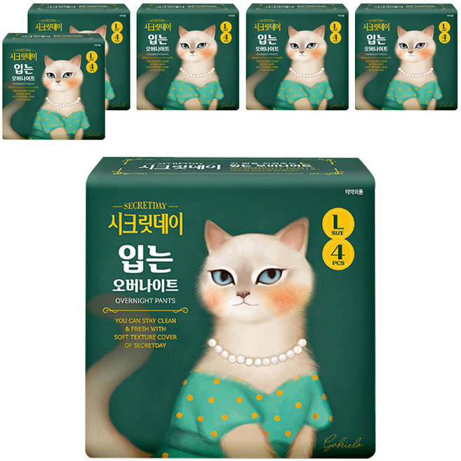 시크릿데이 입는 오버나이트 팬티형, 대형, 4개입, 6개