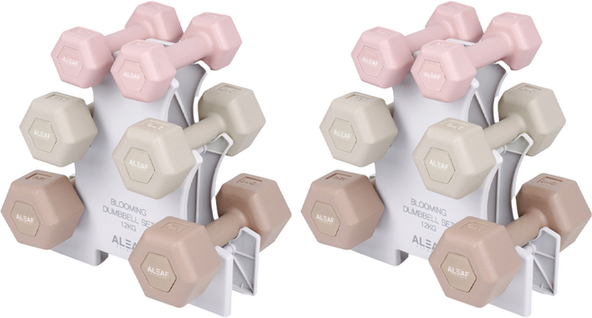 아리프 블루밍 아령 세트, 12kg, 2세트