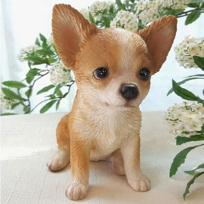 오리엔탈무드 강아지 장식인형, 치와와