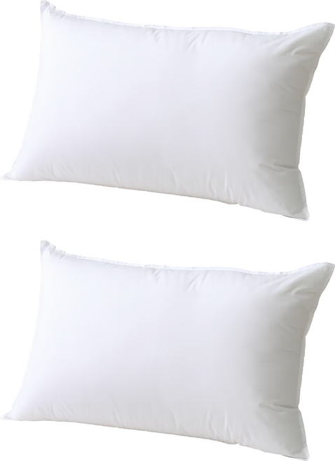 Arnold Palmer 雨傘牌 日本大和防螨抗菌枕, 白色, 2顆