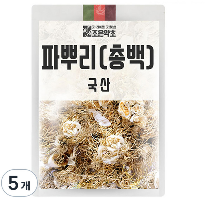 조은약초 파뿌리 총백, 200g, 5개