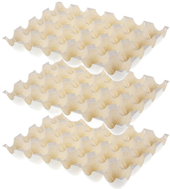 앤티스 주방용품 달걀 보관 케이스 24칸 3p, 베이지, 3개