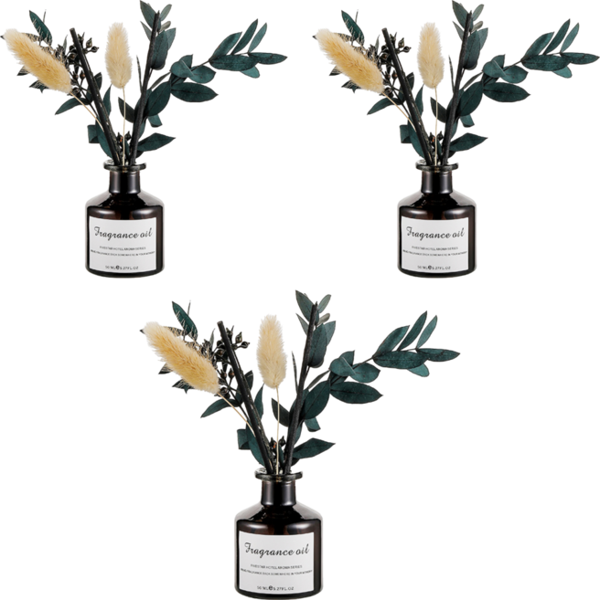 LONGFINE 朗氛 植物精油 綠植乾花香薰擺件無火香薰, 茉莉清茶, 3瓶, 50ml