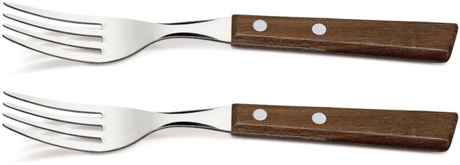 트라몬티나 트레딕셔널 우드핸들 커트러리 테이블포크, 혼합색상, 2개
