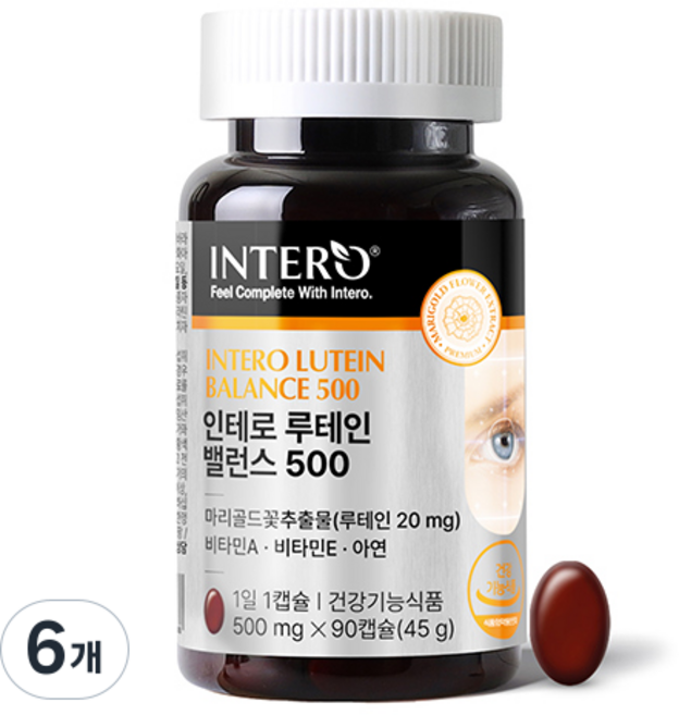 인테로 루테인 밸런스 500 45g, 90정, 6개