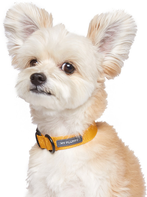 마이플러피 강아지 베이직 칼라 목줄, 머스타드, 1개