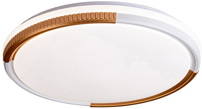 北歐風LED36W遙控調光調色臥室吸頂燈 V3821C36 50 x 5cm 金色
