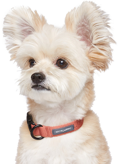 마이플러피 강아지 베이직 칼라 목줄, 다크핑크, 1개