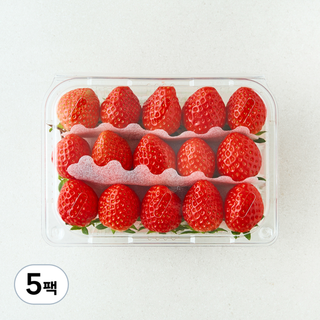 곰곰 설향딸기, 500g(M), 5팩