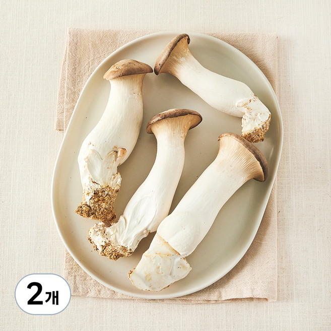 친환경 새송이버섯, 400g, 2개