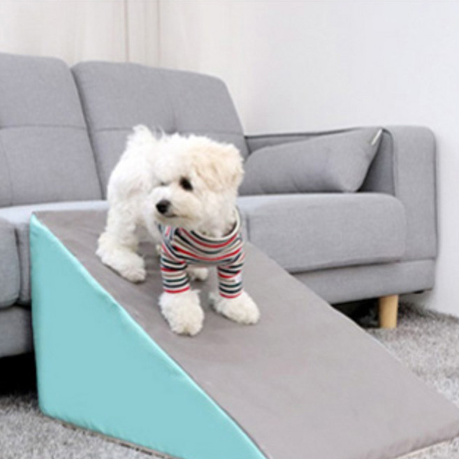 레드퍼피 마블스펀지 셀닥스 삼각 펫스텝, 민트, 1개