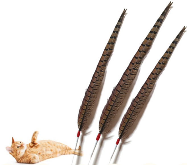 펫츠몬 깃털 고양이 낚싯대 장난감, 혼합 색상, 3개