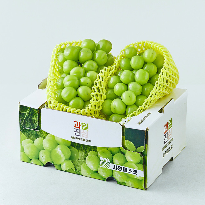 과일진심 샤인머스캣 청포도, 1.5kg, 1개