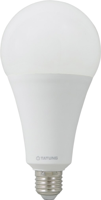 TATUNG 大同 LED燈泡 30W, 白光, 1個
