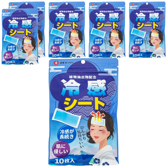 Ryoshitsu Seikatsu 良質生活 冰貼 2片, 5包, 6袋