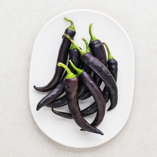가지색 고추, 200g, 1개