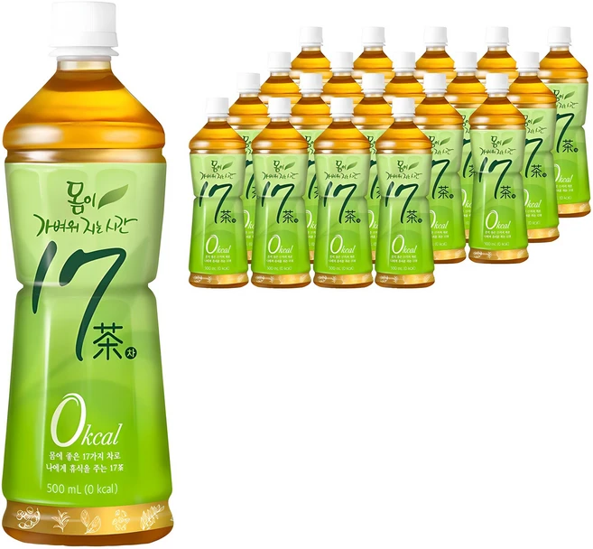 17차 몸이 가벼워지는 시간, 500ml, 20개 - 쿠팡